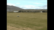 beep GIF