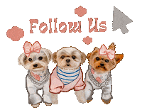 Dogs Follow Us Sticker