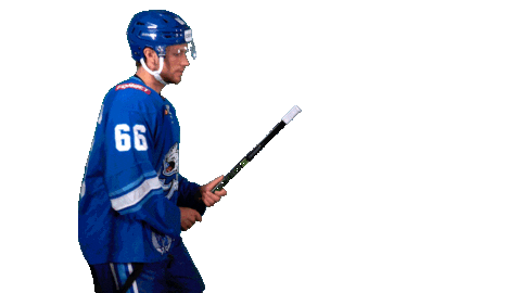 Fun Hockey Sticker by barys_official