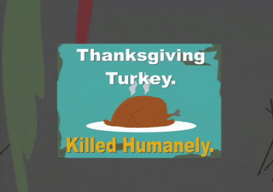 thanksgiving turkey GIF by South Park 