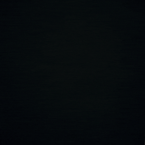 Assustado Escondido GIF by Pedro Sobral