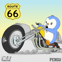 New Mexico Penguin GIF by Pudgy Penguins