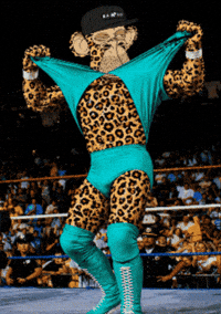 Celebrate Hulk Hogan GIF by Boring Merch
