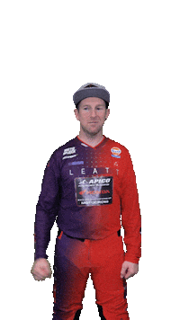 Honda Yes Sticker by ApicoFactoryRacing