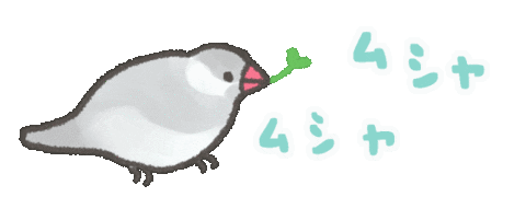 Bird Eat Sticker