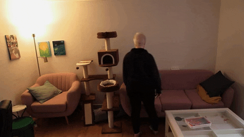 TV2oestjylland giphyupload GIF