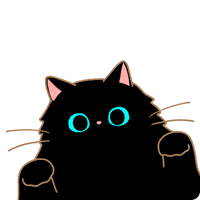 Cats Hello GIF by Boucheron