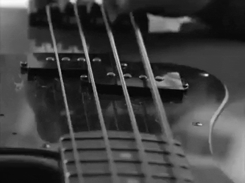 bass picking GIF by Topshelf Records