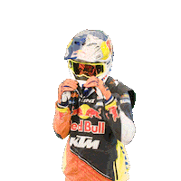 Dakar Sticker by Red Bull