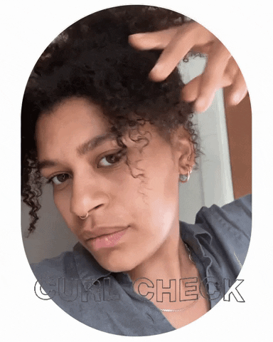 EverydayOil giphygifmaker giphyattribution GIF