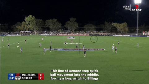 GoPies giphyupload GIF