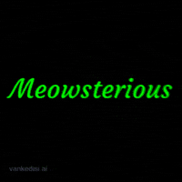 Cat Crypto GIF by vankedisi