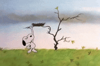 charlie brown thanksgiving GIF by Peanuts