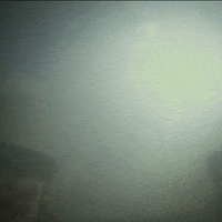 Oh No Oops GIF by MotoGP