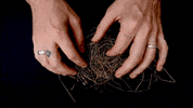 Hiss Golden Messenger Hgm GIF by Merge Records