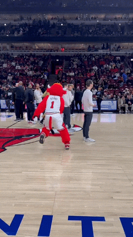 Basketball Mascot GIF by NBA