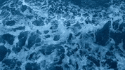 lyric video maxwell GIF