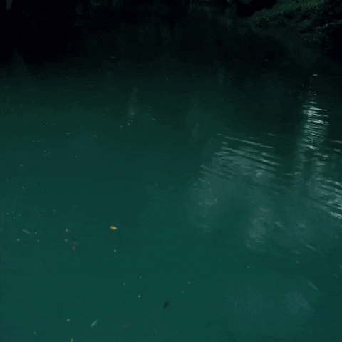 TheFourthComing couple jamaica bamboo rafting GIF