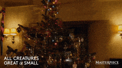 Christmas Dogs GIF by MASTERPIECE | PBS