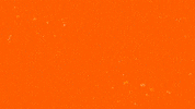 Collins GIF by Flint Firebirds