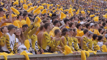 College Football GIF by Mizzou Athletics