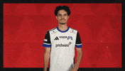Hamburger Sv Football GIF by Bundesliga