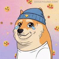 Dog Smile GIF by Doge Pound