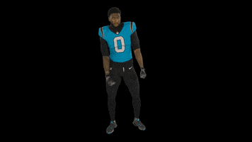North Carolina Football GIF by Carolina Panthers
