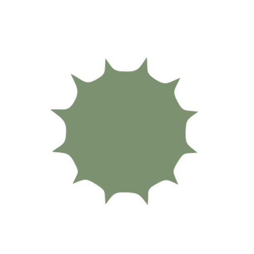 Plant Nut Sticker