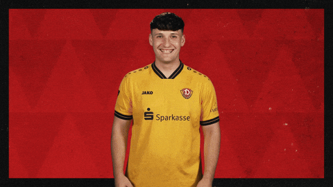 Dynamo Dresden Football GIF by Bundesliga