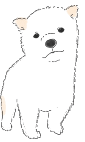 himakoyo shiba shibainu 柴犬 mameshiba Sticker
