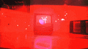 GIF by NOFUTURE