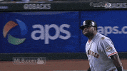 San Francisco Giants Panda GIF by MLB