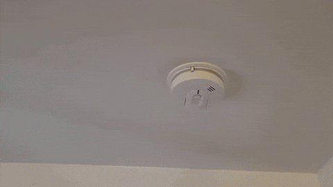 Fire Safety GIF by No Cheese Records