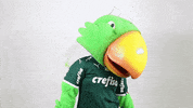 valentines day love GIF by SE Palmeiras