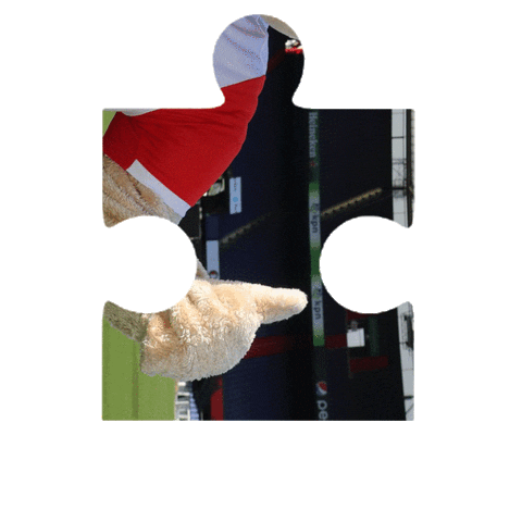 Puzzle Sticker by Feyenoord Rotterdam N.V.