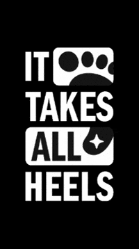 Unc GIF by UNC-Chapel Hill