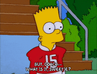 homer simpson episode 6 GIF