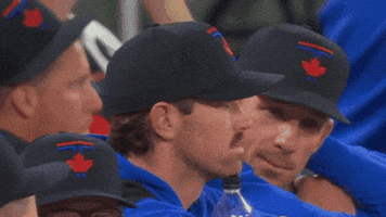 Blue Jays Smile GIF by Toronto Blue Jays