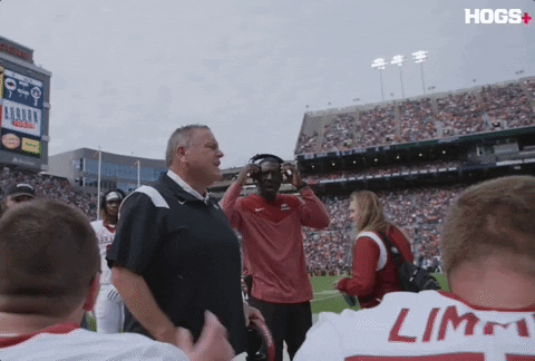 College Pig GIF by Hogs+