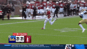 gostanford  GIF