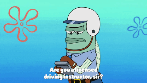 season 9 lost in bikini bottom GIF by SpongeBob SquarePants