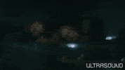 Movie Film GIF by Magnolia Pictures
