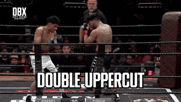 Knockout Punch GIF by Dirty Boxing Championship