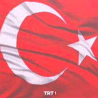 Turkey Turkish GIF by TRT