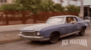 jim carrey alrighty then GIF by Morgan Creek