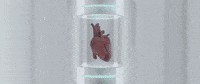 Everything Ji GIF by J.I the Prince of N.Y