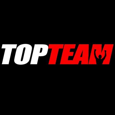 topteamff giphygifmaker topteam GIF