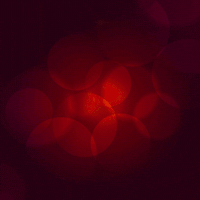Merry Christmas GIF by Spini