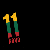 Flag Lithuania GIF by Tilis